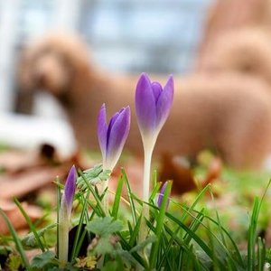 Анастасия Х.